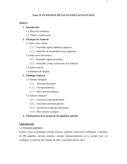 1 Tema 24. PATOLOGÍA DE LAS GLÁNDULAS SALIVALES INDICE