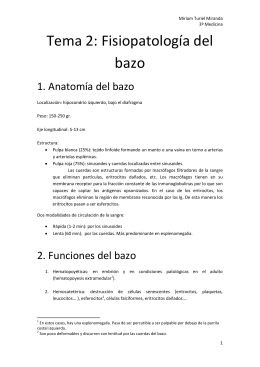 Tema 2 El bazo - WordPress.com