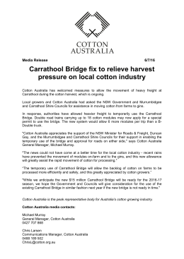Carrathool Bridge fix to relieve harvest pressure