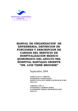 manual de organizacion de enfermeria, definicion
