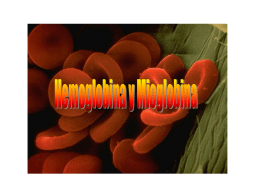Hemoglobina y Mioglobina