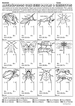 artrópodos con seis patas o insectos