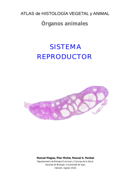 sistema reproductor - Atlas de Histología Vegetal y Animal