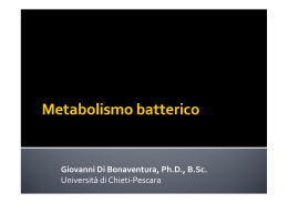 metabolismo batterico