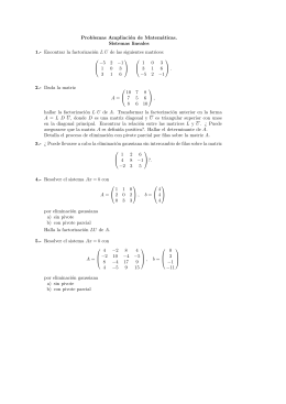 Problemas Ampliación de Matemáticas. Sistemas lineales 1