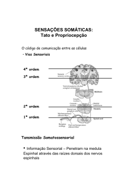 Fisiologia Somatossensorial II - Curso de Fisiologia