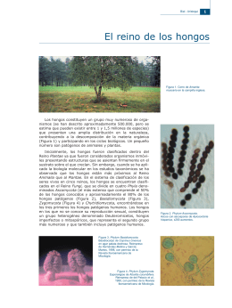 El reino de los hongos - Revista Iberoamericana de Micología