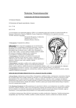 Teórico Sistema Neuromuscular