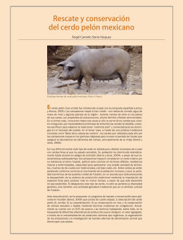 Rescate y conservación del cerdo pelón mexicano