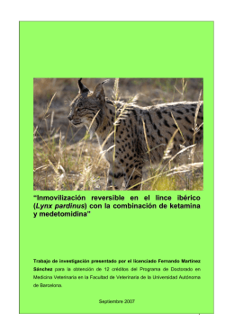 “Inmovilización reversible en el lince ibérico (Lynx pardinus ) con la