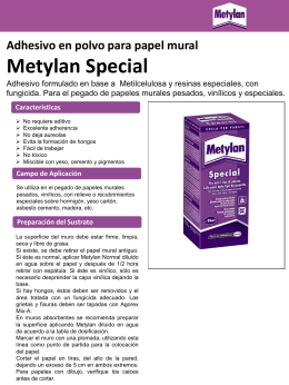 Adhesivo en polvo para papel mural Metylan Special