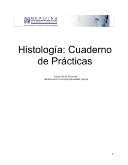 Histología: Cuaderno