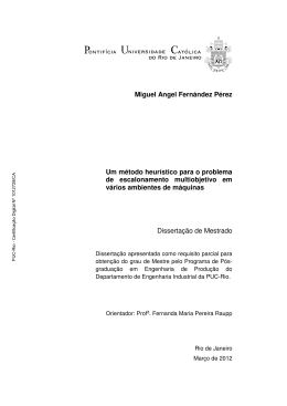 Miguel Angel Fernández Pérez Um método heurístico