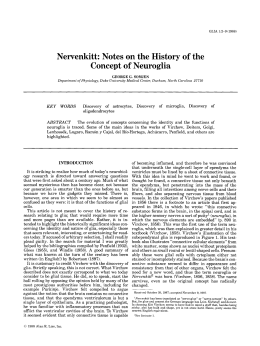 Nervenkitt: Notes on the history of the concept of neuroglia