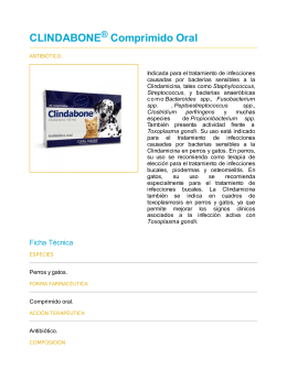 CLINDABONE Comprimido Oral