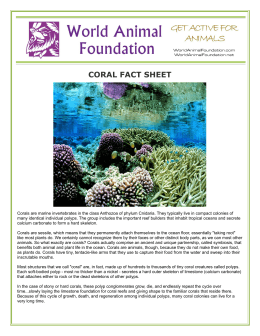 coral fact sheet - World Animal Foundation