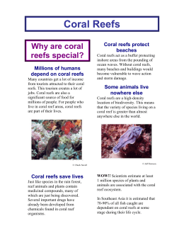 Coral Reefs - IOSEA Marine Turtle Memorandum of Understanding