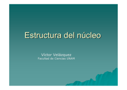 Estructura del núcleo - Instituto de Ciencias Nucleares UNAM
