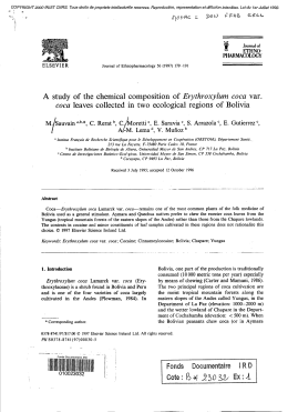 A study of the chemical composition of Erythroxylum coca var. coca