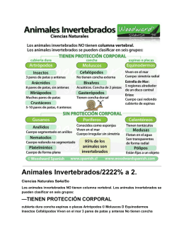 Animales Invertebrados/2222% a 2.