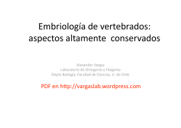 Embriología de vertebrados - Laboratorio de Ontogenia y Filogenia