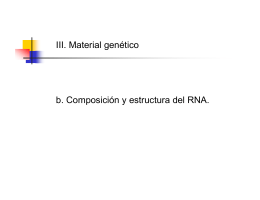 III b Composicion y estructura del RNA