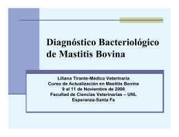 Diagnóstico Bacteriológico de Mastitis Bovina