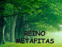 REINO METAFITAS - IES Julián Zarco