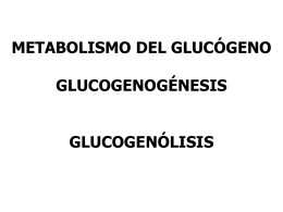 GLUCÓGENO - Bioquímica grupo 4 FQ UNAM