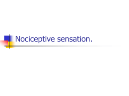 44 Nociceptive sensation. Somatic sensory analyzer