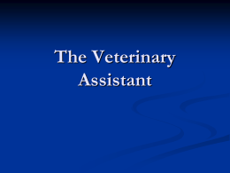 The Veterinary Assistant