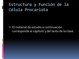 Semana3_ Estructura _y_ Función _de_ la_ célula_ procariótica