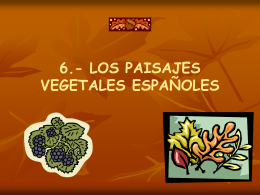 6.- los paisajes vegetales españoles