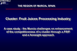 Fruit Juices Processing Industry - A case study