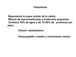 Clase 5 Biologia celular- Citoesqueleto