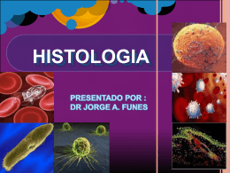 1 histologia