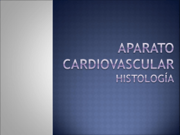 Aparato Cardiovascular histología