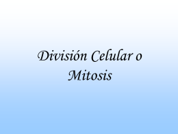División Celular o Mitosis