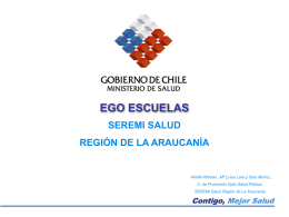 Logros Estrategia Ego Esc 2008. Región de La Araucanía