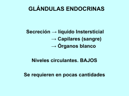 GLÁNDULAS ENDOCRINAS