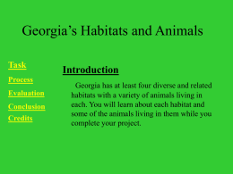 Georgia`s Habitats and Animals - BCE