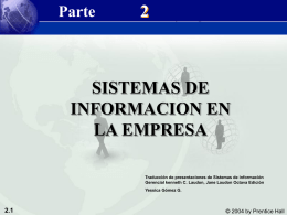 Sistemas de Información en la Empresa