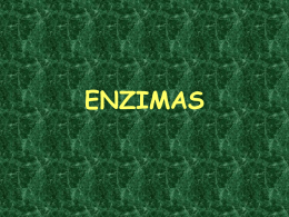 enzimas.pps