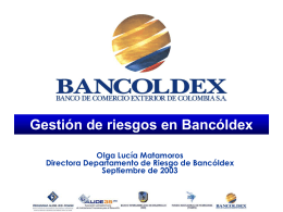 Gestión de riesgos en Bancóldex