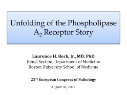 Unfolding of the Phospholipase A2 Receptor Story (PPT / 13904 KB)