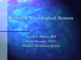 Neonatal Neurological and Neuromuscular System