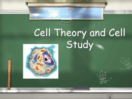 UPCO: Chapter 4- Cell Theory and Cell Study