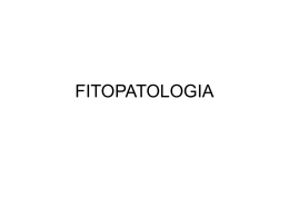 Fitopatologia
