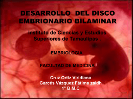 DESARROLLO DEL DISCO EMBRIONARIO BILAMINAR