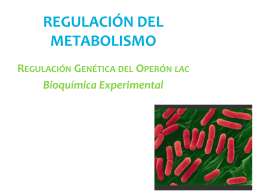 operon-lac2 - Bioquimexperimental